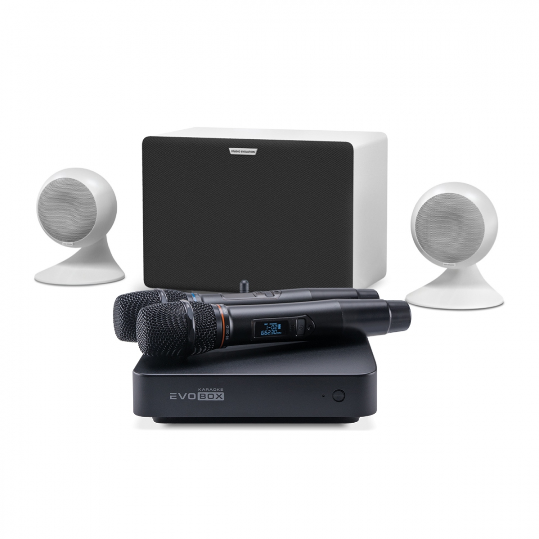 караоке-комплект EVOBOX Classic + EvoSound Sphere 2.1 в Волоколамске