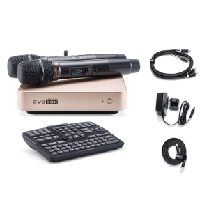 EVOBOX Classic караоке-система для дома в Волоколамске